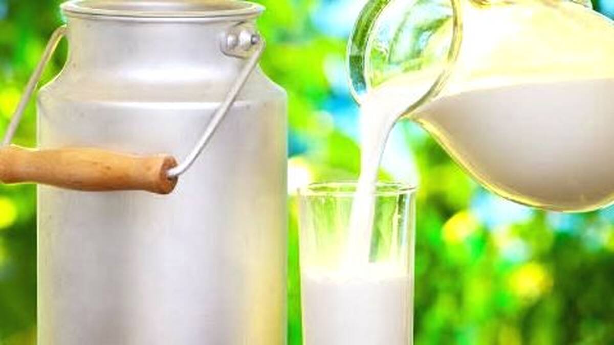 milk