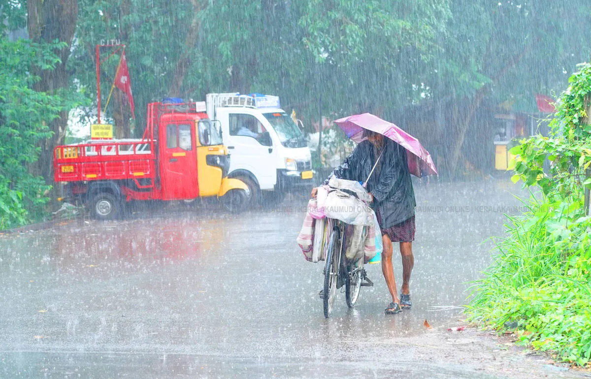 rain