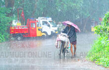 rain