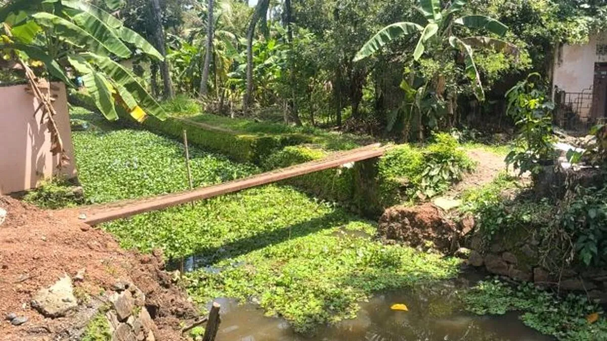ilavan-kulam-palam