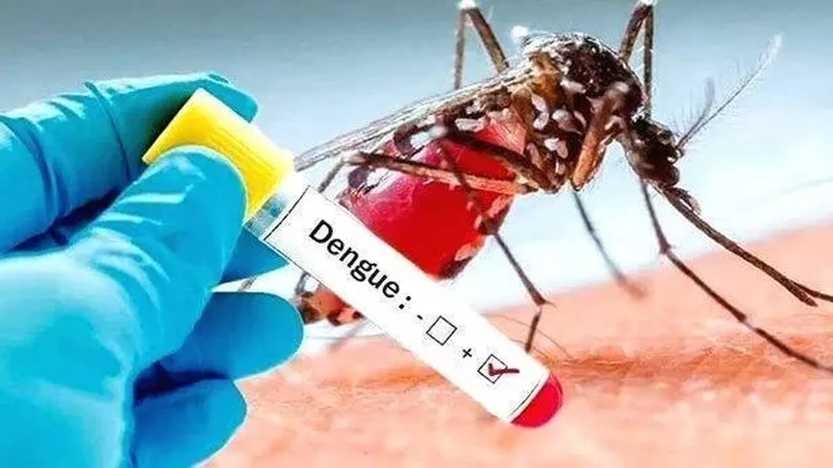 fever fever