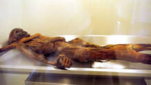 living-organisms-found-inside-5200-years-old-mummy