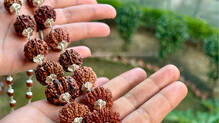 rudraksha