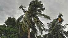 kerala-rain-updates-today--heavy-rain-continues-in-kerala-after-monsoon-arrives