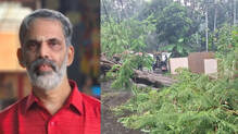 huge-treefell-in-trissur-man-died