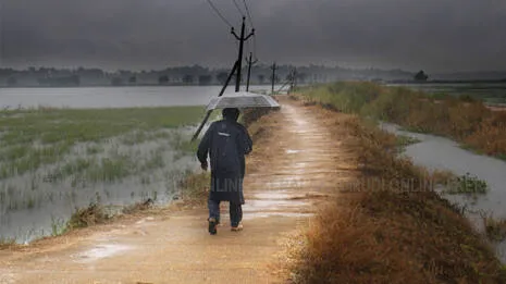 rain.1.3873912
