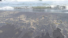vizhinjam-ashore-issue