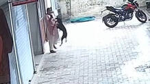 stray-dog-attack-in-kasaragod