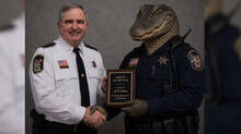 police-and-alligator