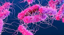 shigella-found-in-juice-collected-from-bakery-in-kattakada-shop-temporarily-closed