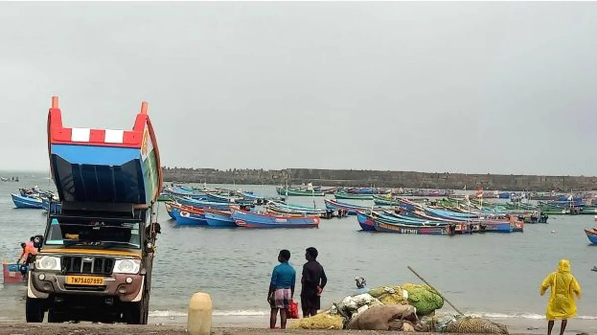 vizhinjma