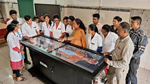 cadaver-in-medical-study-importance