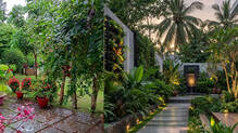plants-