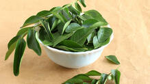 curry-leaves