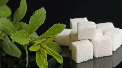-stevia-sugar-plant-.1.3886789
