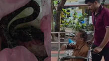 elderly-man-bitten-bu-snake-in-kozhikode