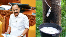 minimum-support-price-of-rubber-has-been-increased-to-rs-250-says-vd-satheesan-kerala-budjet