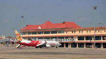 customs-seized-smuggled-hornbill