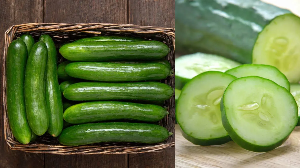 cucumber-