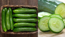 cucumber-