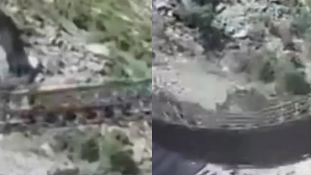 truck-collapse truck-collapse