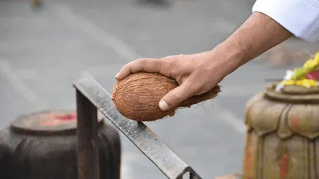 coconut.1.3900652