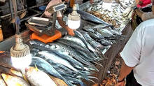 fish-coming-from-other-states-have-dangerous-contents-and-here-are-the-tips-to-identify-them