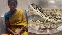 woman-carries-venomous-snake-to-hospital