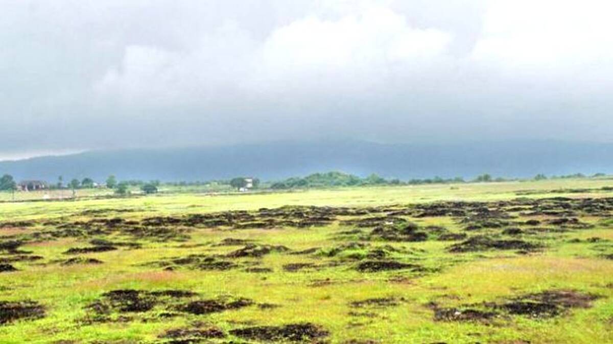 aa