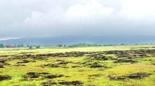 kerala