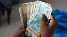 price-raised-to-above-3000-per-kilogram-and-farmers-to-benefit