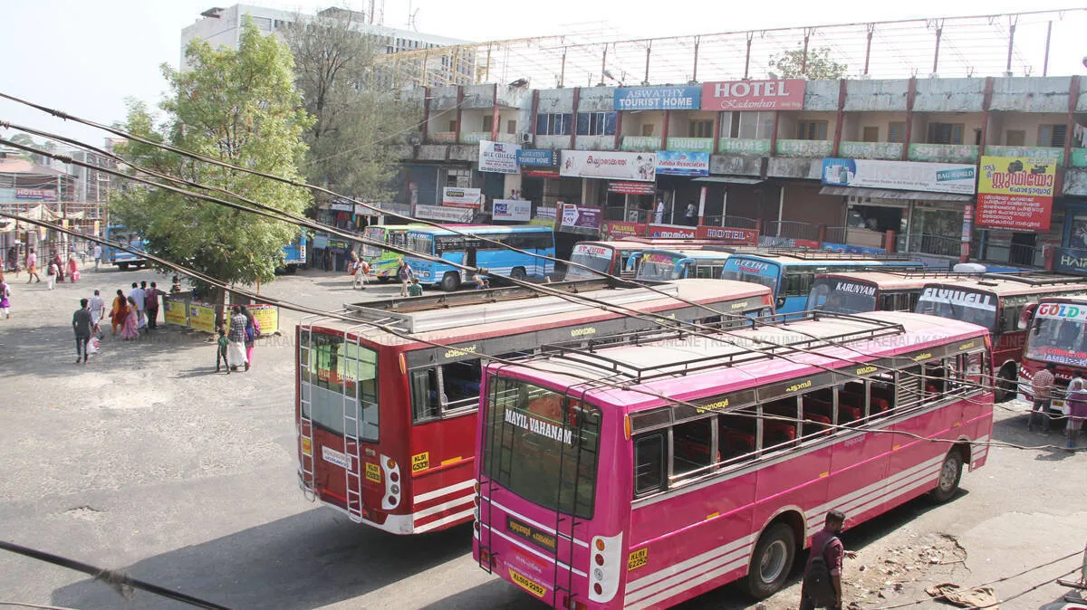 bus