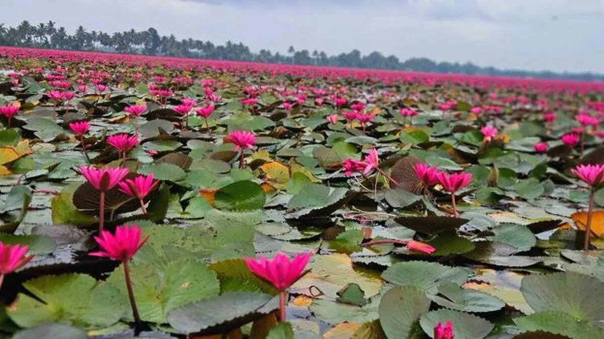 kadampadam-padashekharam