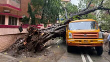 mumbai-heavy-rain-tree-fall-school-bus