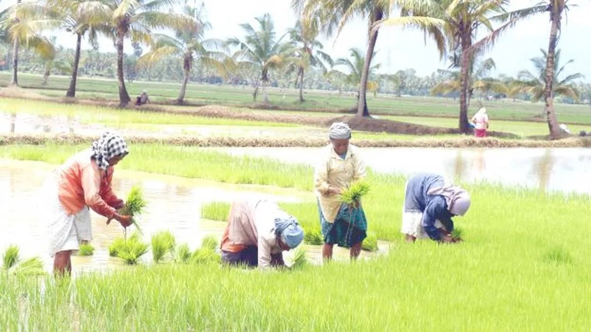 farmer farmer
