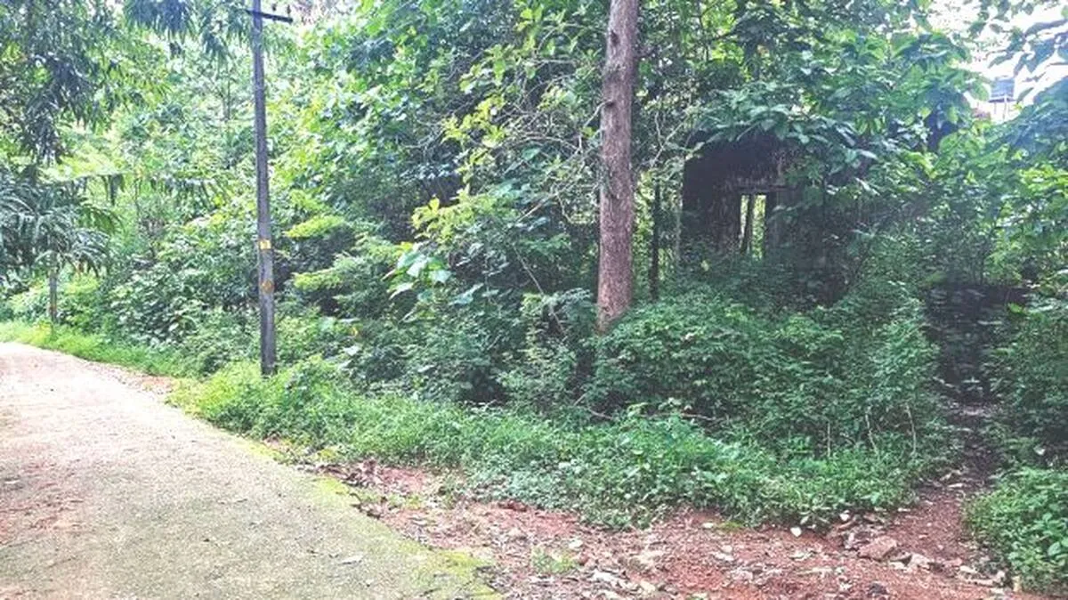 mannarkkad