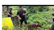 kerala