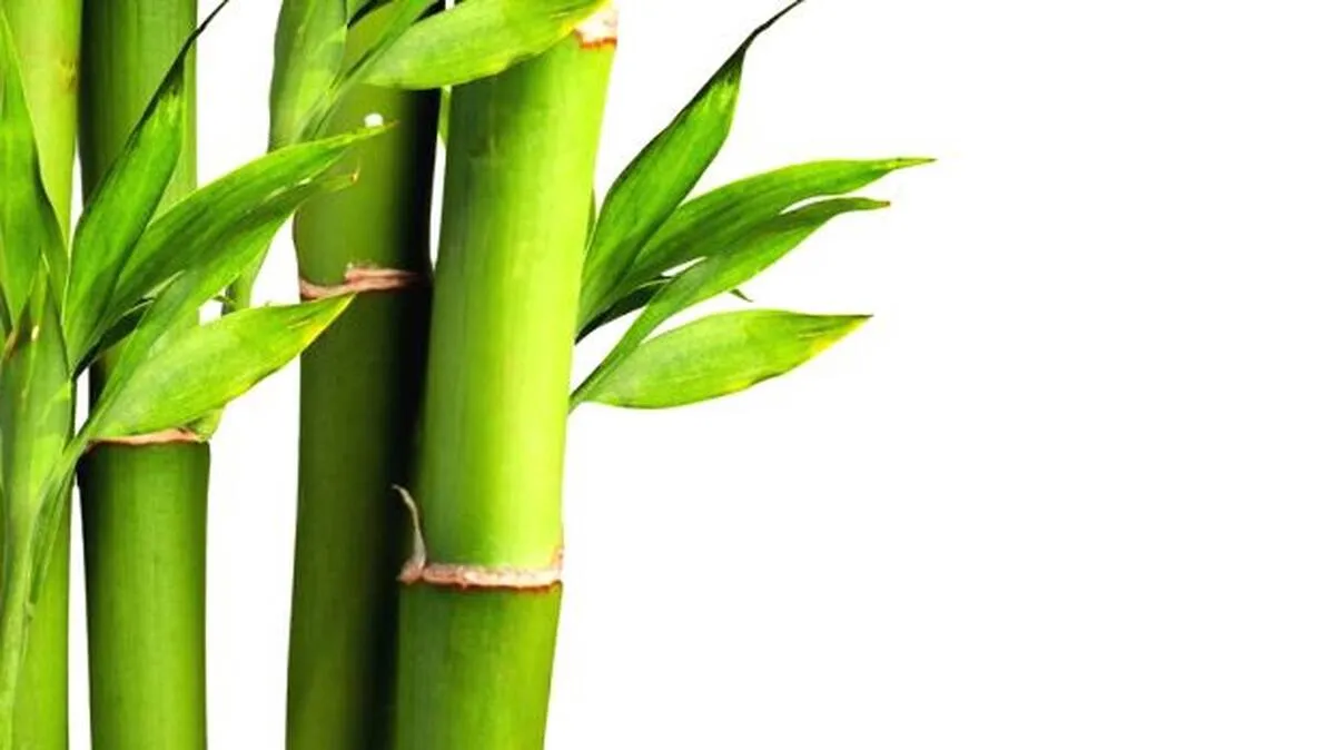 a a