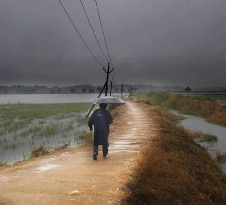 rain.1.3869483