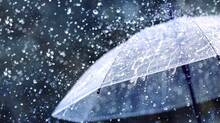 rain