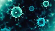 virus
