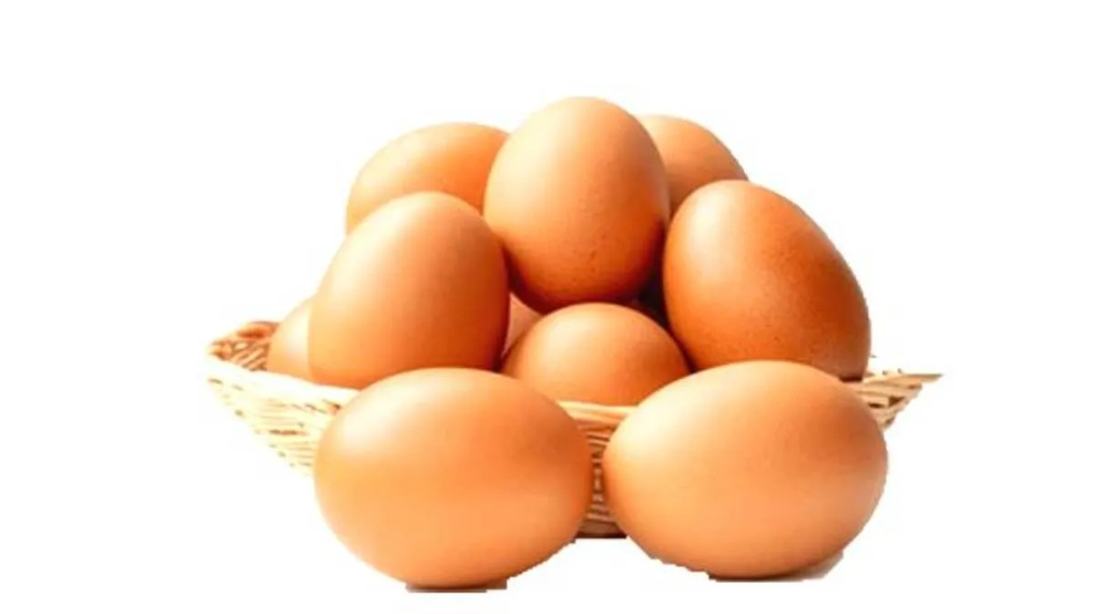 egg