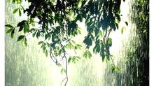 rain