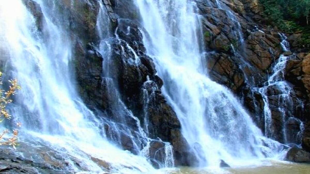 meenmutti