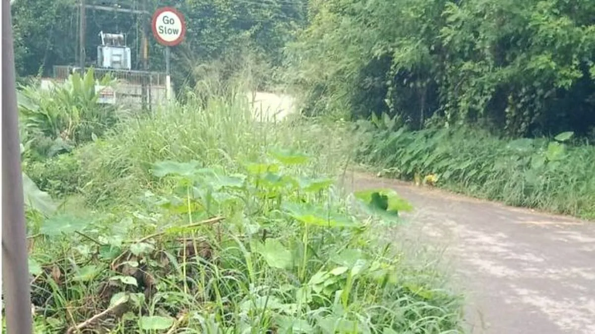 road