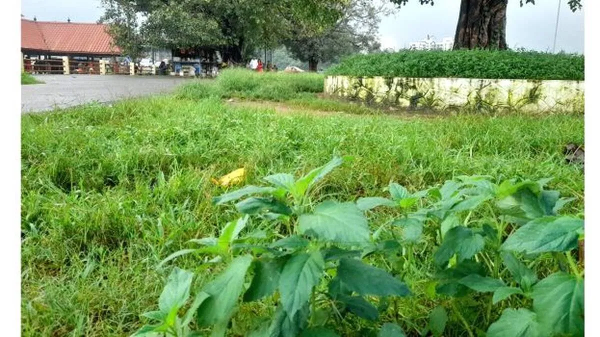 manappuram