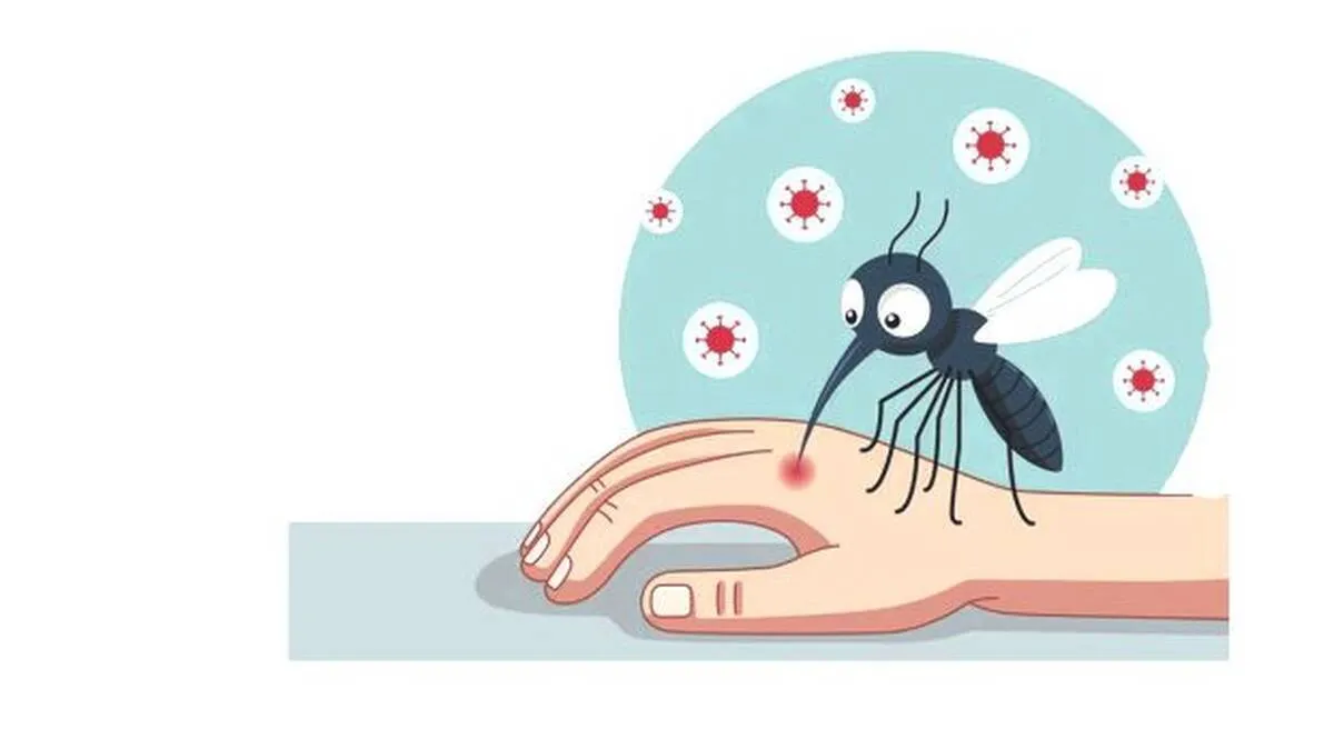dengue dengue