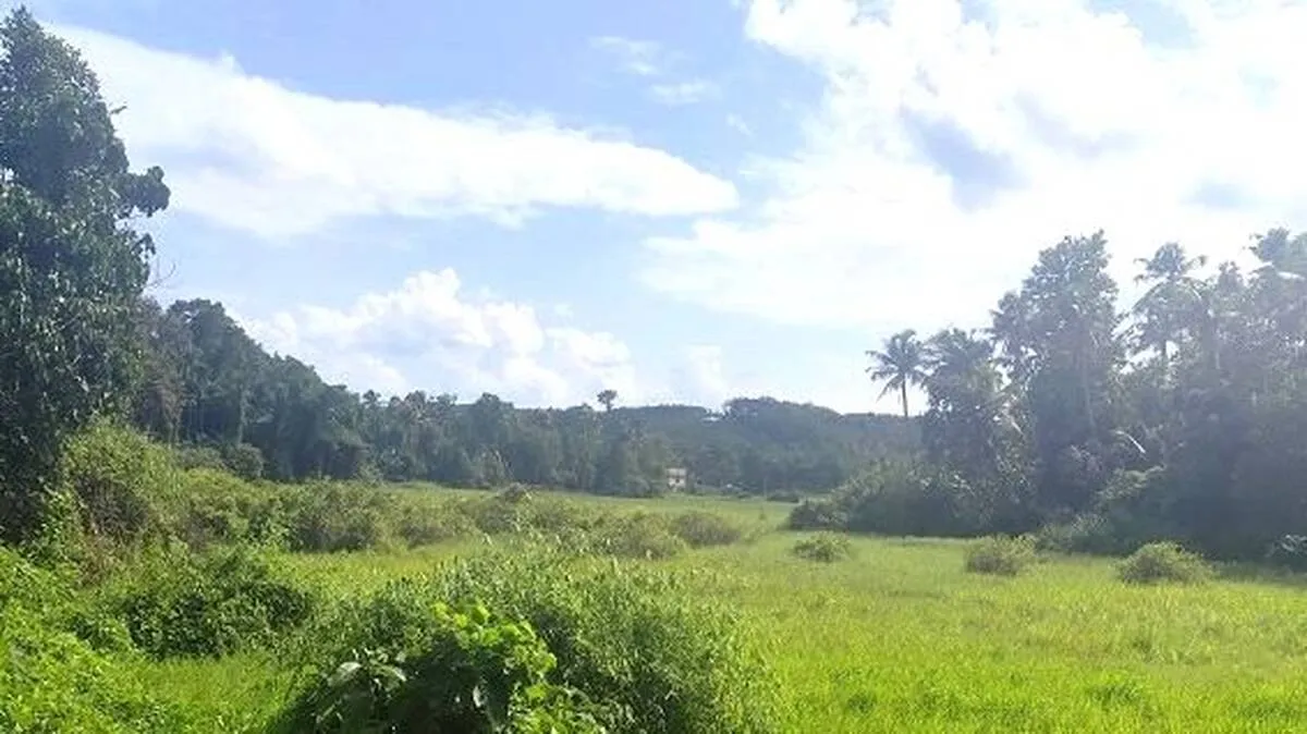 padam padam