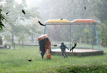 rain