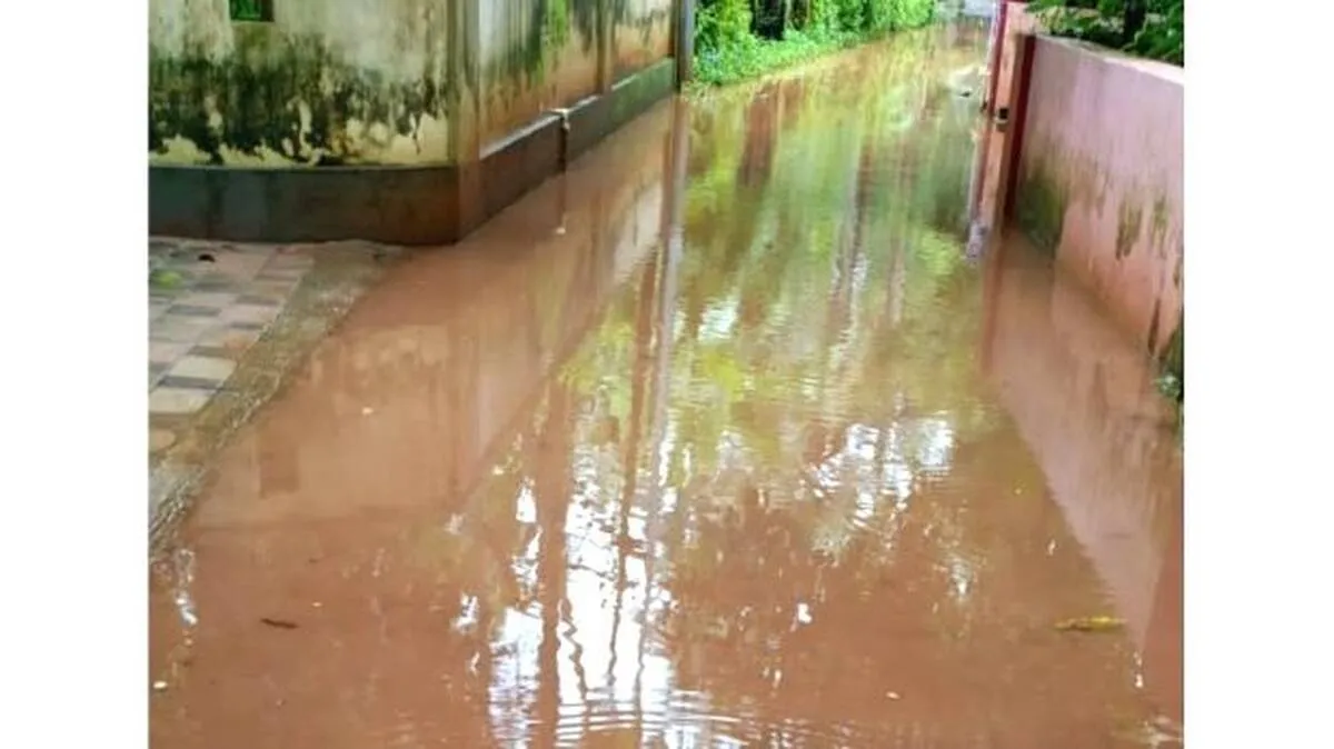 vellakettu